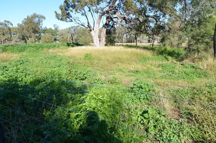 Seventh view of Homely land listing, 11 Boolooroo Street, Ashley NSW 2400