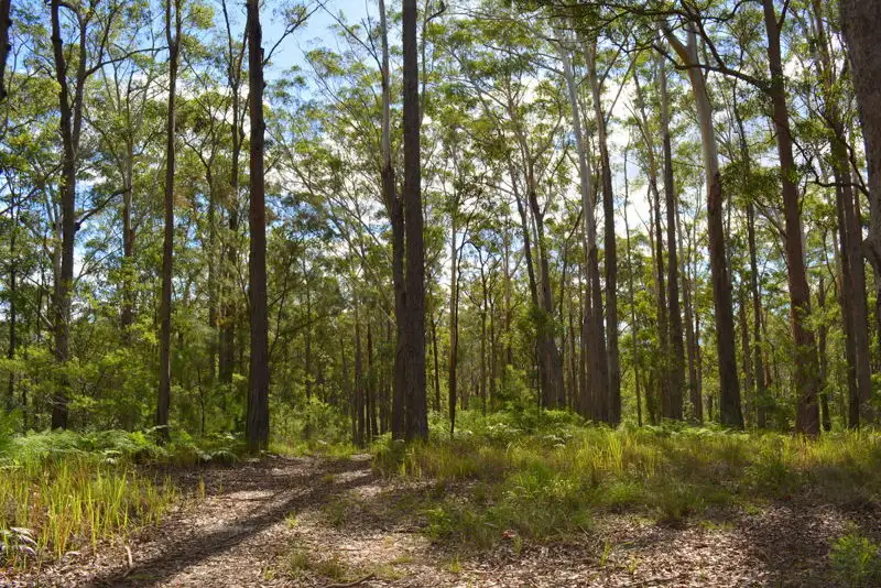 Main view of Homely land listing, 1335 Martells Road, Urunga NSW 2455