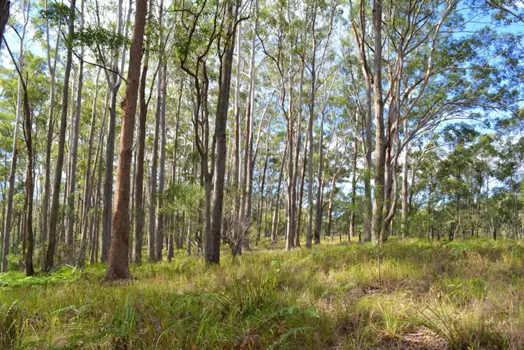 Third view of Homely land listing, 1335 Martells Road, Urunga NSW 2455
