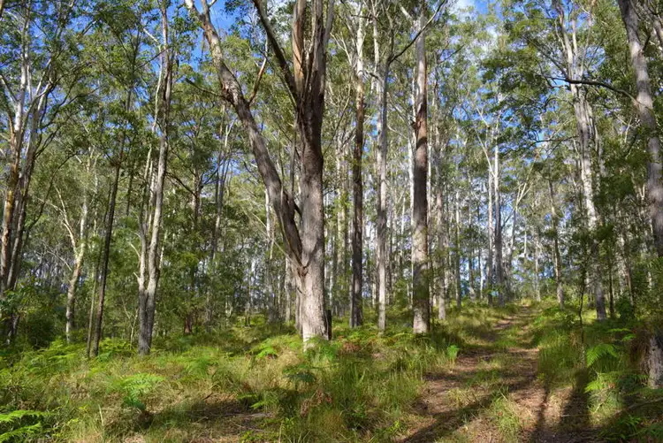 Fourth view of Homely land listing, 1335 Martells Road, Urunga NSW 2455
