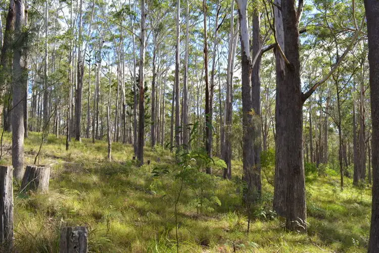 Fifth view of Homely land listing, 1335 Martells Road, Urunga NSW 2455