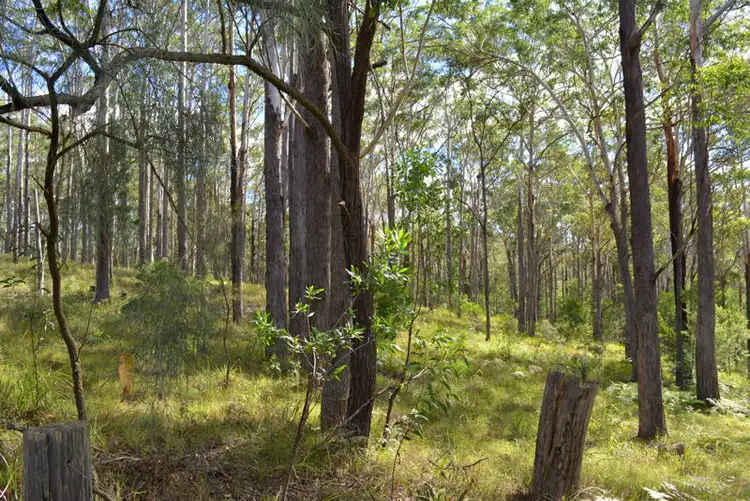 Sixth view of Homely land listing, 1335 Martells Road, Urunga NSW 2455