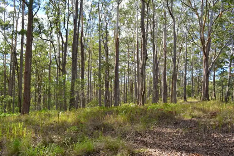 Seventh view of Homely land listing, 1335 Martells Road, Urunga NSW 2455