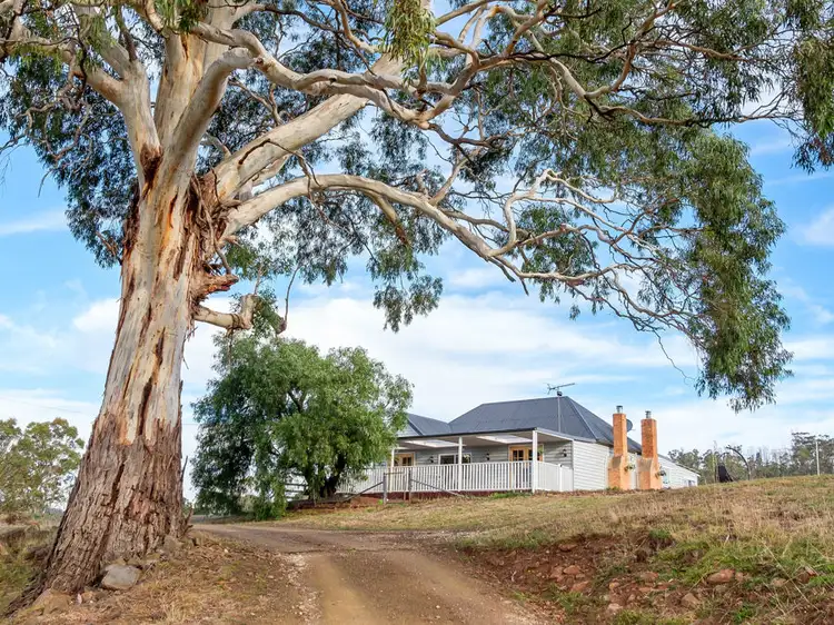 Main view of Homely house listing, 218 Wiggins Road, Wattle Hill TAS 7172