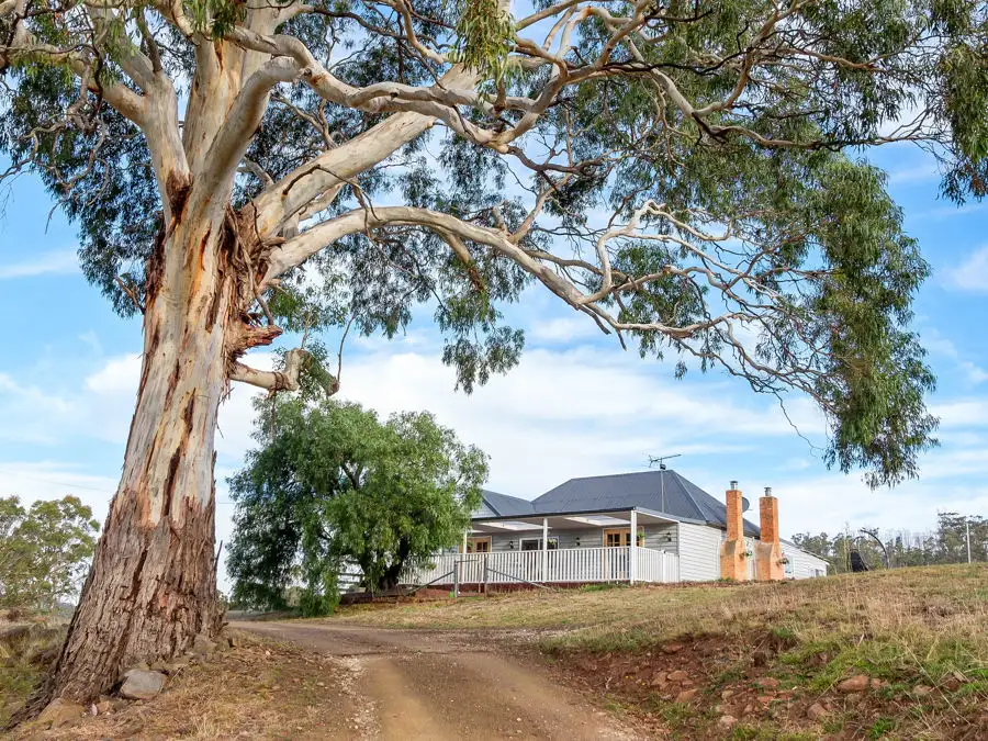 Main view of Homely house listing, 218 Wiggins Road, Wattle Hill TAS 7172