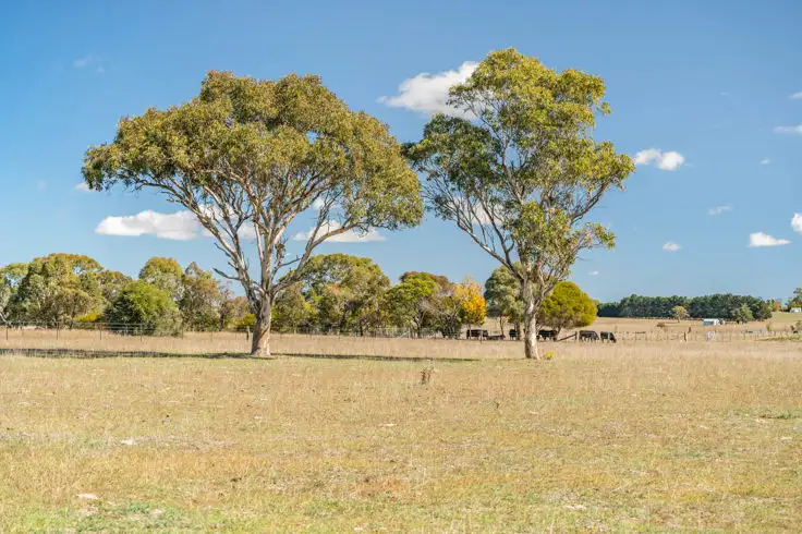 Sixth view of Homely land listing, 47 Parsons Close, Armidale NSW 2350