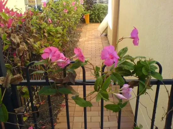 Fourth view of Homely townhouse listing, 56/223 Calam Rd, Sunnybank Hills QLD 4109