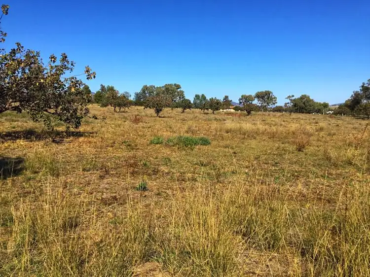 Fifth view of Homely land listing, Lot 2 Thomas Street, Moonbi NSW 2353