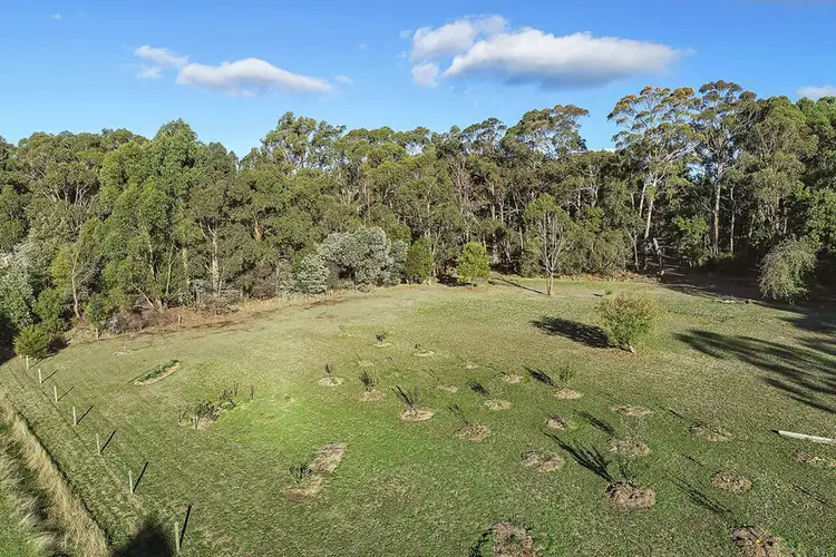 Fourth view of Homely rural property listing, 85 Bushbys Road, Barongarook VIC 3249