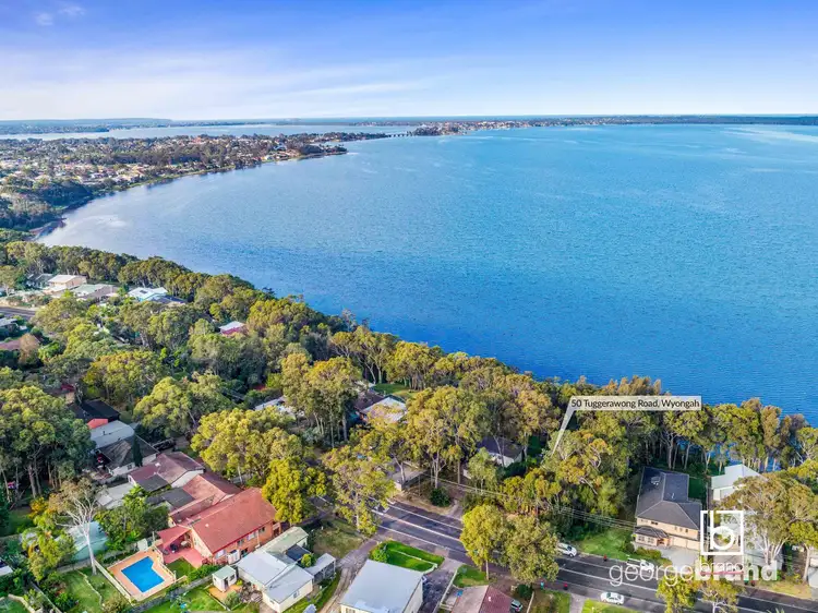 Main view of Homely house listing, 50 Tuggerawong Rd, Wyongah NSW 2259