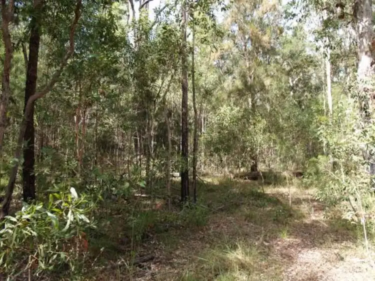 Main view of Homely rural property listing, 671 Parker Road, Wells Crossing NSW 2460