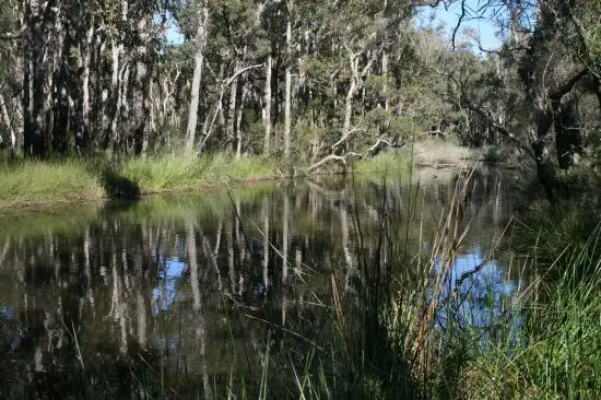 Main view of Homely rural property listing, 103 Orara Road, Lanitza NSW 2460
