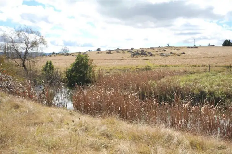 Sixth view of Homely land listing, 211-217 Wood Street, Tenterfield NSW 2372