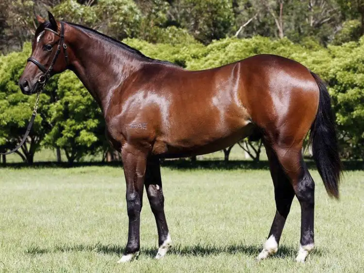 Fifth view of Homely land listing, Lot 8. 518 Myocum Road, Myocum NSW 2481