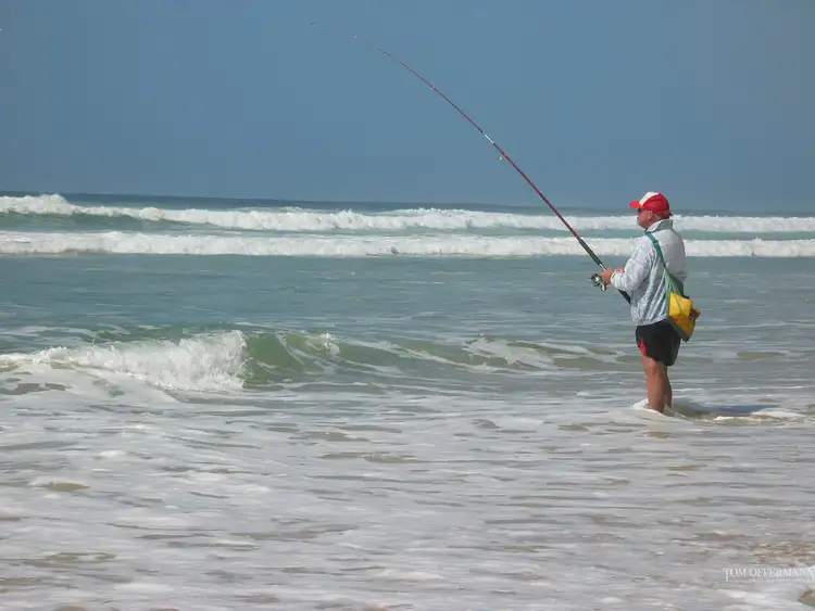 Seventh view of Homely land listing, 34 Plover Street, Peregian Beach QLD 4573