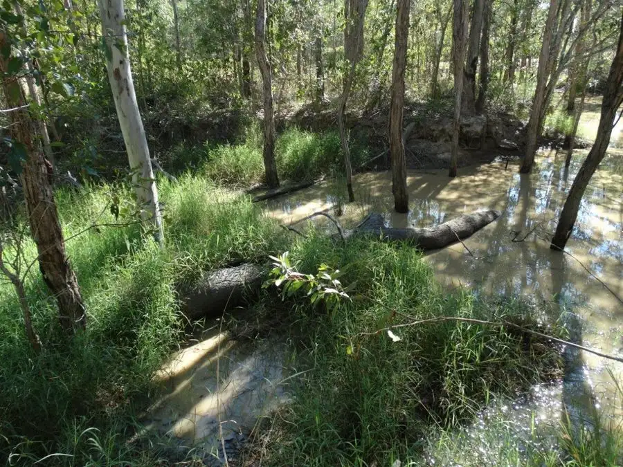 Main view of Homely rural property listing, Lot 8 Cross Road, Euleilah QLD 4674