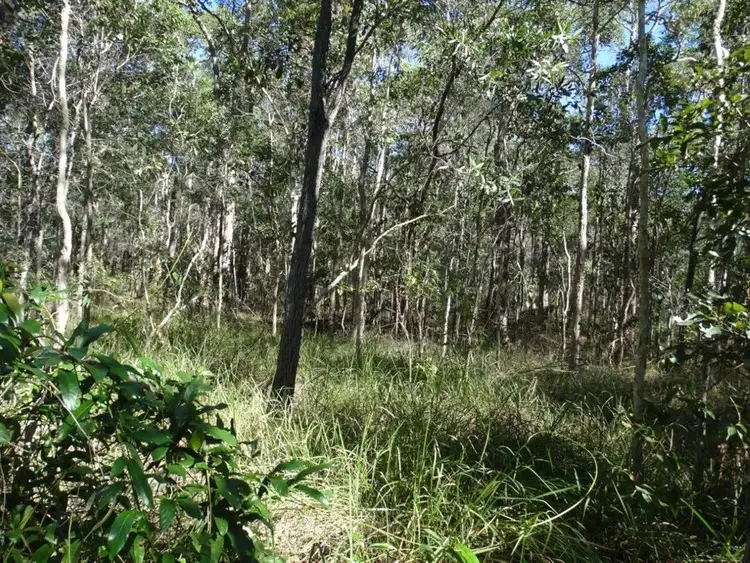 Sixth view of Homely rural property listing, Lot 8 Cross Road, Euleilah QLD 4674