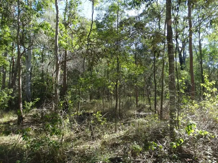 Seventh view of Homely rural property listing, Lot 8 Cross Road, Euleilah QLD 4674