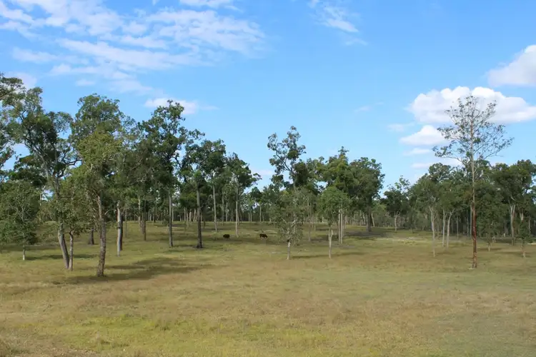 Third view of Homely rural property listing, 94 Wights Lane, Dunmora QLD 4650