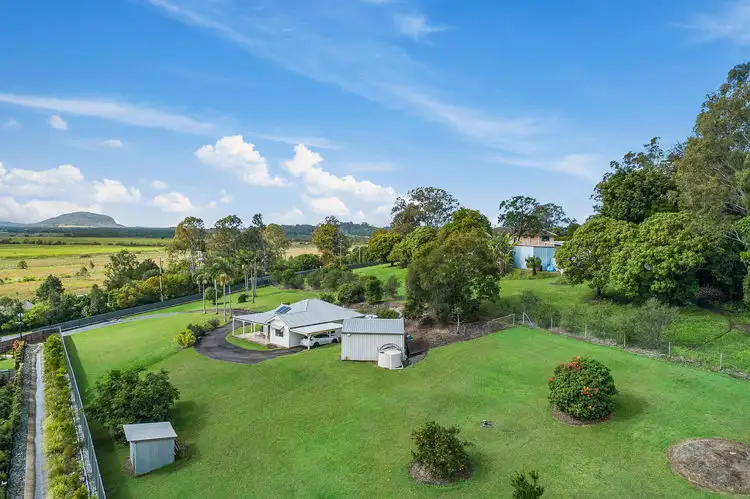 Main view of Homely rural property listing, 864 Yandina Bli Bli Road, Bli Bli QLD 4560