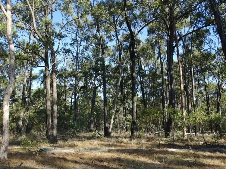 Main view of Homely rural property listing, Lot 65 Dale Drive, Rules Beach QLD 4674