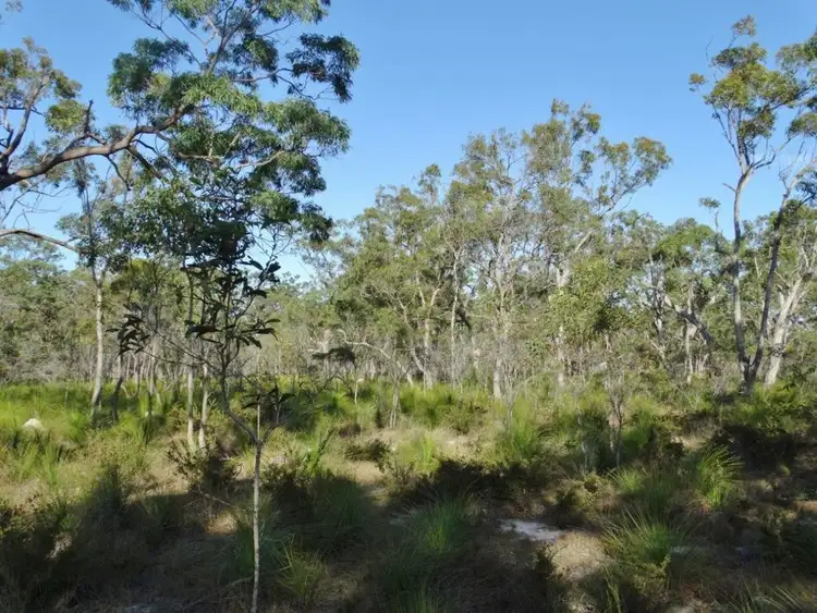 Third view of Homely rural property listing, Lot 65 Dale Drive, Rules Beach QLD 4674