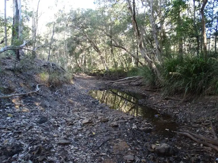 Seventh view of Homely rural property listing, 1062 Monduran Road, Waterloo QLD 4673