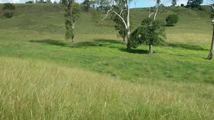Fifth view of Homely rural property listing, 80 Masons Road, Kilgra, Kyogle NSW 2474