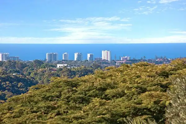 38 Simpson Drive, Bilambil Heights NSW 2486