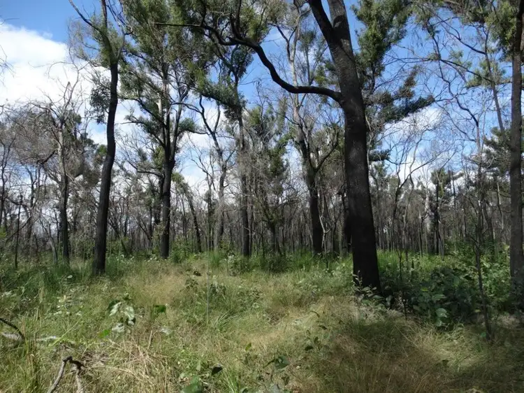 Main view of Homely rural property listing, 171 Deepwater Road, Deepwater QLD 4674