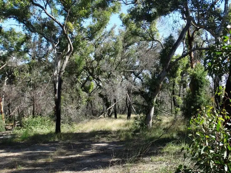 Fifth view of Homely rural property listing, 171 Deepwater Road, Deepwater QLD 4674