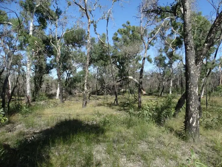 Sixth view of Homely rural property listing, 171 Deepwater Road, Deepwater QLD 4674