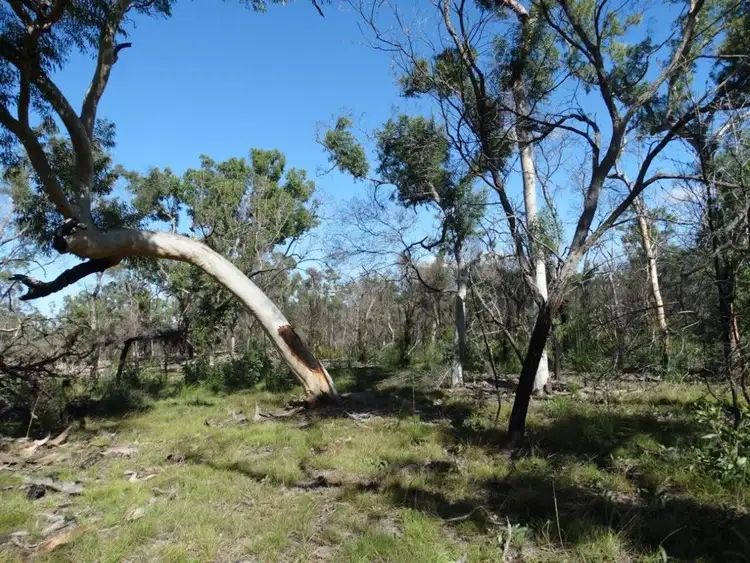 Seventh view of Homely rural property listing, 171 Deepwater Road, Deepwater QLD 4674