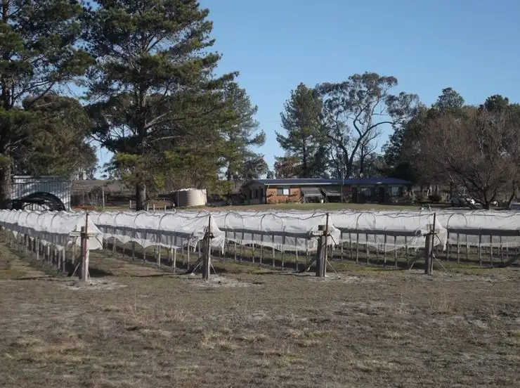 Second view of Homely house listing, 316 Amiens Road, Stanthorpe QLD 4380