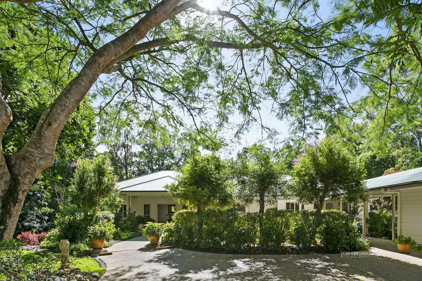 Main view of Homely house listing, 41 Beckmans Road, Tewantin QLD 4565