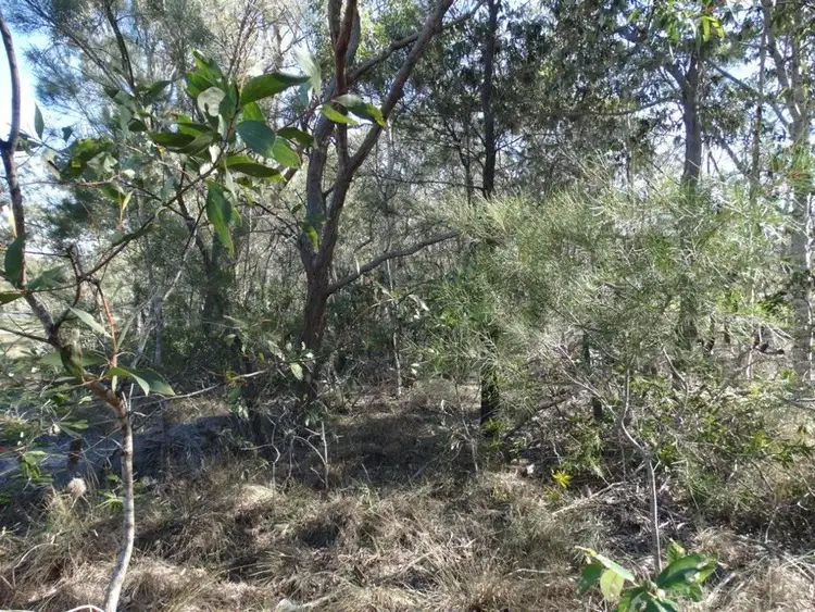 Fifth view of Homely rural property listing, Lot 6 Woodgate Road, Woodgate QLD 4660
