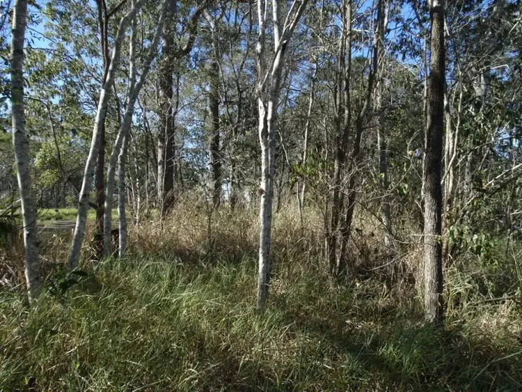 Sixth view of Homely rural property listing, Lot 6 Woodgate Road, Woodgate QLD 4660