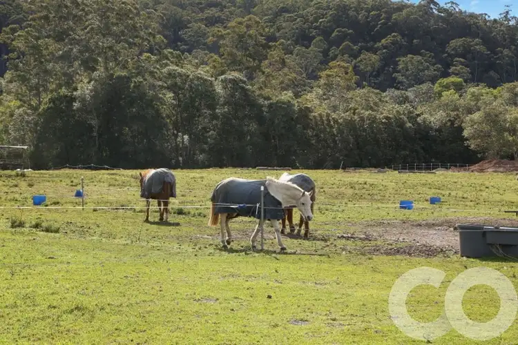 Sixth view of Homely land listing, 387 Yarramalong Road, Wyong Creek NSW 2259