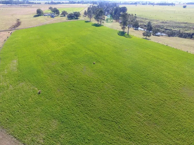 Third view of Homely rural property listing, 3550 Casino Coraki Road, Greenridge NSW 2471