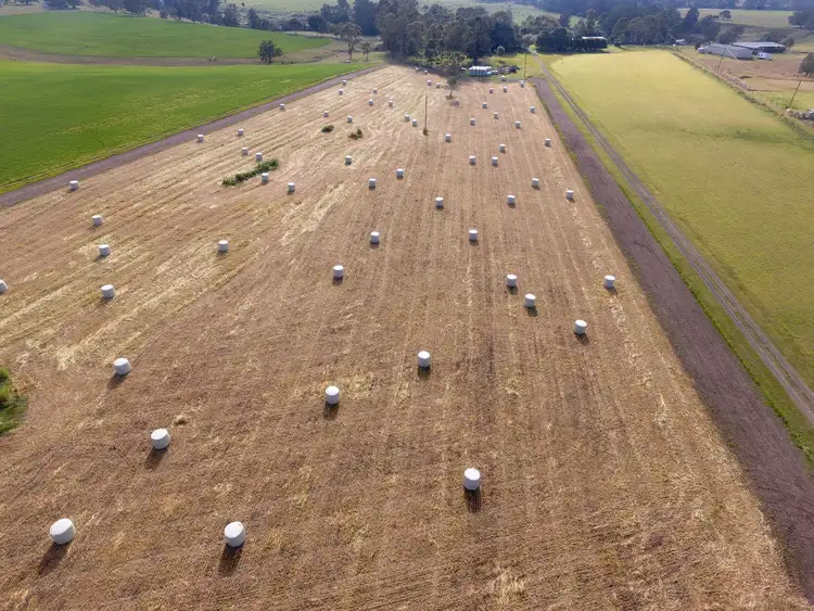 Sixth view of Homely rural property listing, 3550 Casino Coraki Road, Greenridge NSW 2471