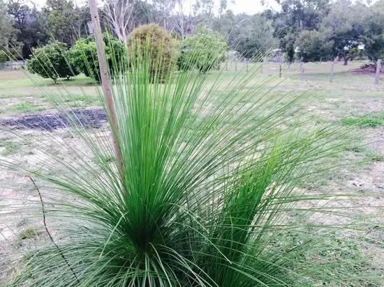Main view of Homely land listing, Lot 4, 13-41 McPhail Road, Narangba QLD 4504