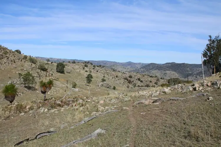 Fourth view of Homely rural property listing, 1759 Mount Mackenzie Road, Tenterfield NSW 2372