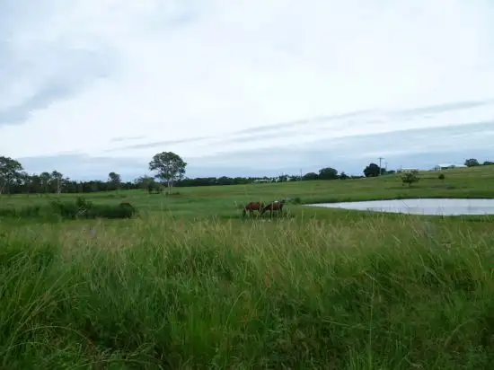 Fifth view of Homely rural property listing, 284 Lower Mountain Road, Dundowran QLD 4655
