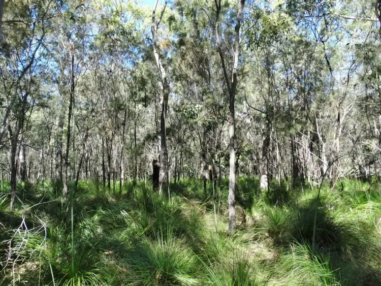 Fifth view of Homely rural property listing, Lot 4 Deepwater Road, Deepwater QLD 4674