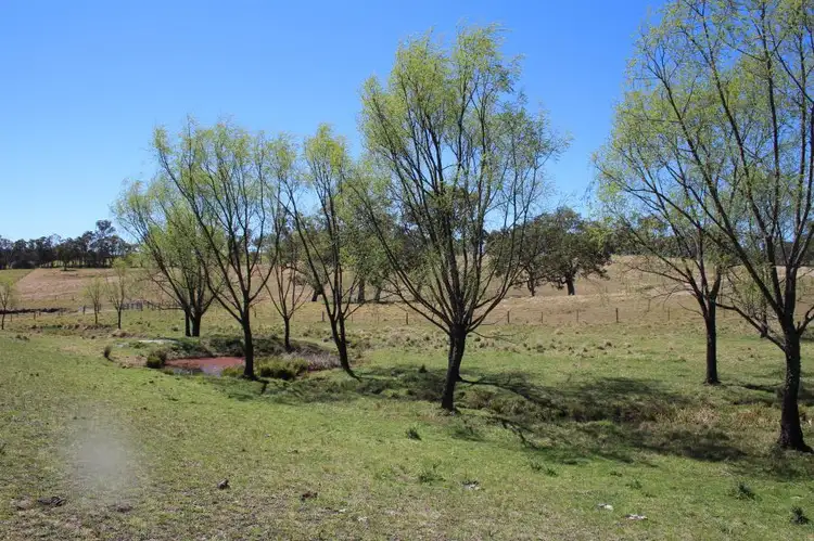 Fourth view of Homely rural property listing, 157 Nutshell Road, Tenterfield NSW 2372