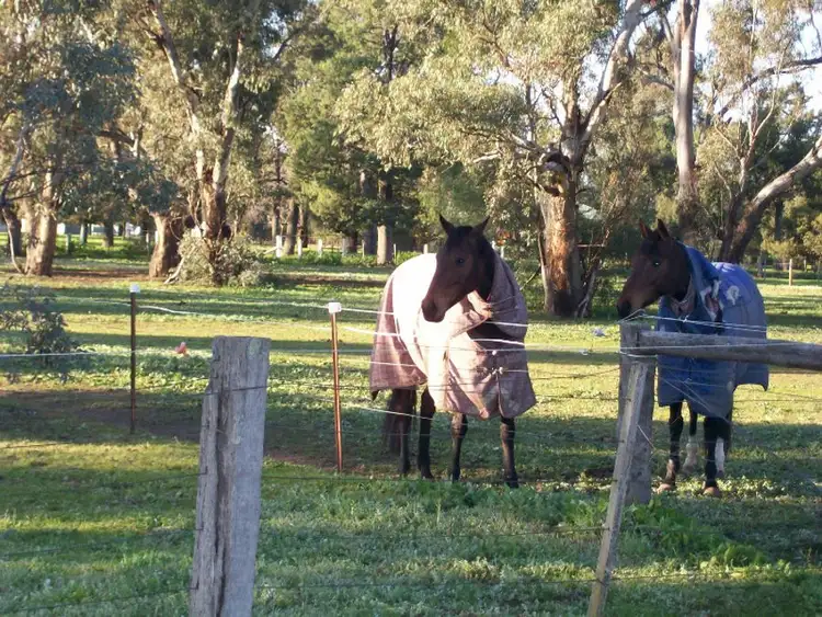 Main view of Homely land listing, Lot 40 Racecourse Rd, Berrigan NSW 2712