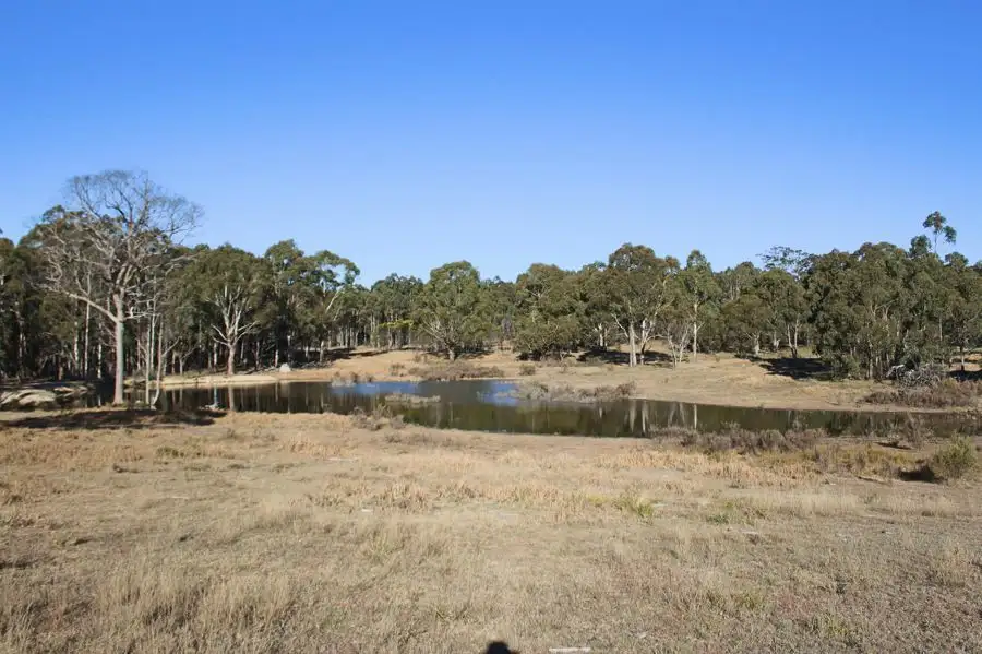 Main view of Homely rural property listing, 1331 Mount Mackenzie Road, Tenterfield NSW 2372