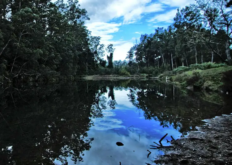 Seventh view of Homely house listing, Address available on request