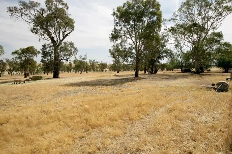Second view of Homely rural property listing, 738 Pikedale Road, Old Junee NSW 2652