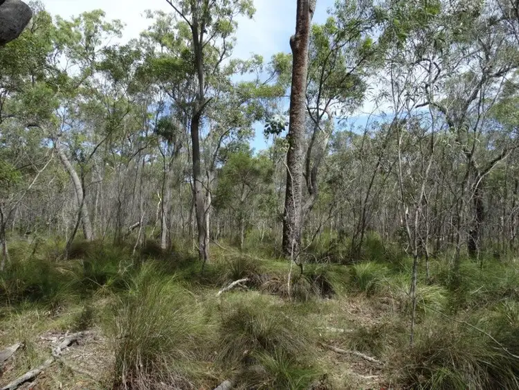 Third view of Homely rural property listing, Lot 23 Dale Drive, Rules Beach QLD 4674